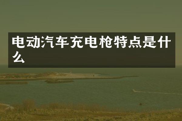 电动汽车充电特点是什么
