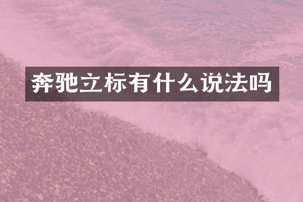 奔驰立标有什么说法吗