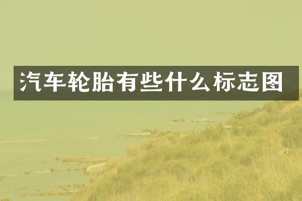 汽车轮胎有些什么标志图