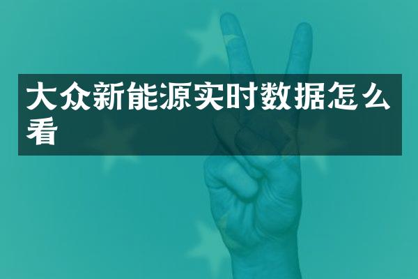 大众新能源实时数据怎么看