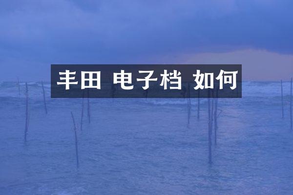 丰田 电子档 如何