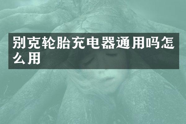别克轮胎充电器通用吗怎么用
