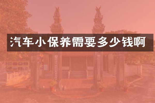 汽车小保养需要多少钱啊