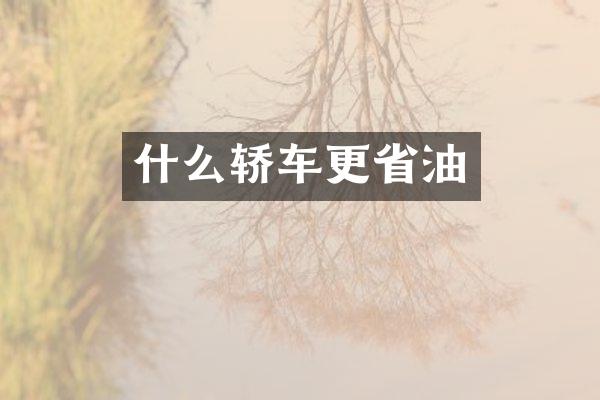 什么轿车更省油