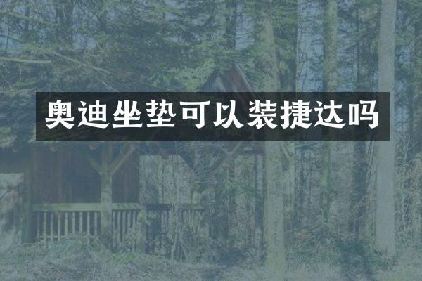 奥迪坐垫可以装捷达吗