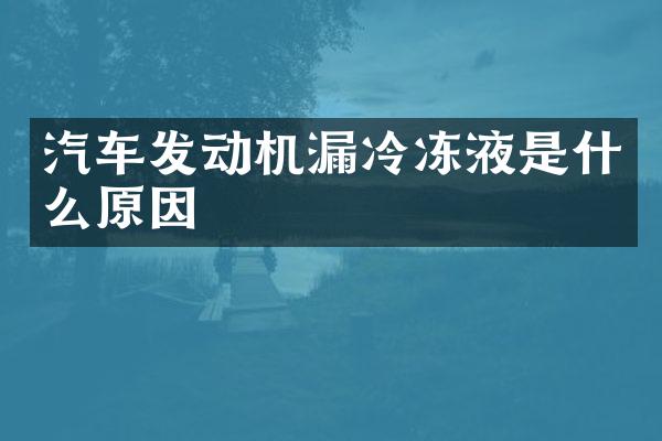 汽车发动机漏冷冻液是什么原因