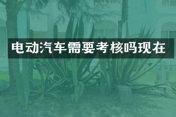 电动汽车需要考核吗现在