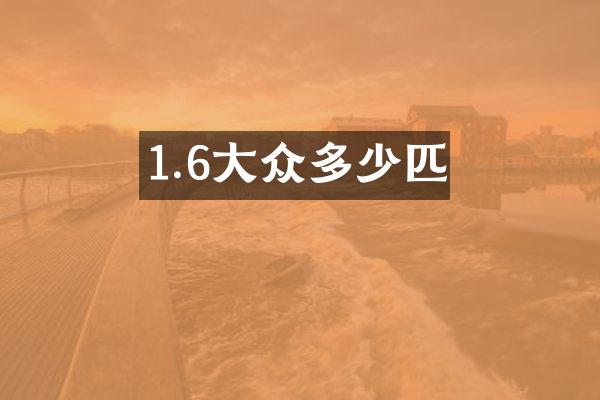 1.6大众多少匹