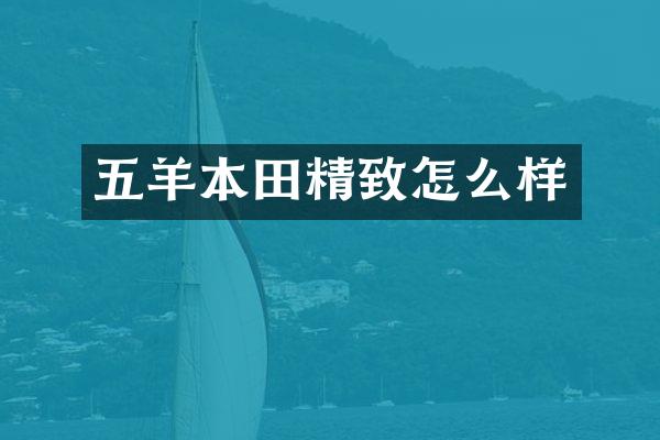 五羊本田精致怎么样