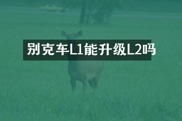 别克车L1能升级L2吗