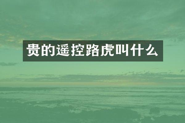 贵的遥控路虎叫什么