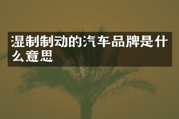 湿制制动的汽车品牌是什么意思