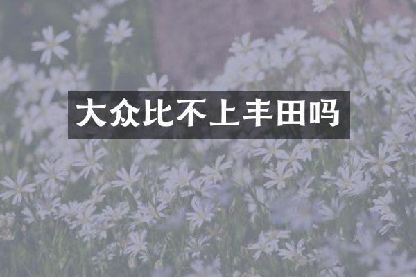 大众比不上丰田吗