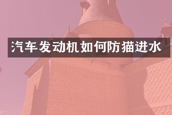汽车发动机如何防猫进水