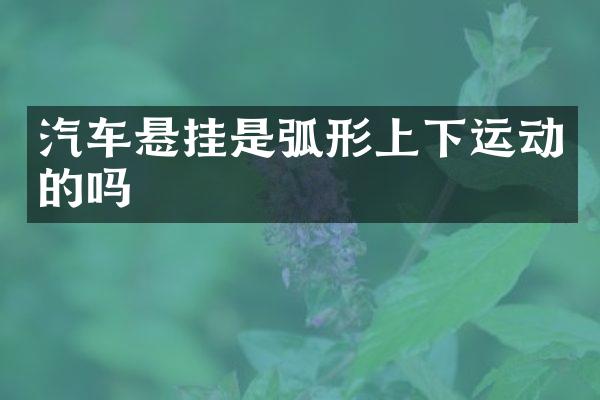 汽车悬挂是弧形上下运动的吗