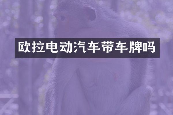 欧拉电动汽车带车牌吗