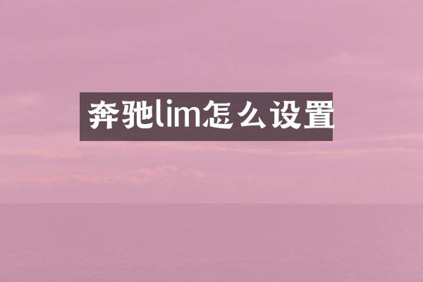 奔驰lim怎么设置