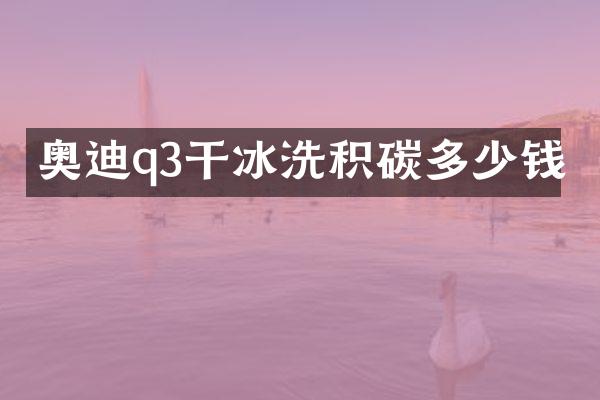 奥迪q3干冰洗积碳多少钱