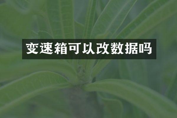 变速箱可以改数据吗