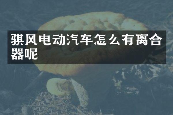 骐风电动汽车怎么有离合器呢