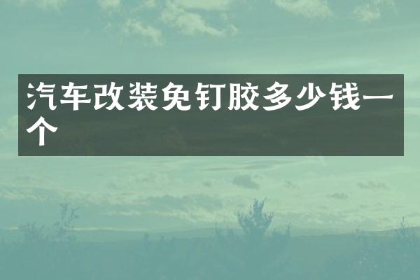汽车改装免钉胶多少钱一个