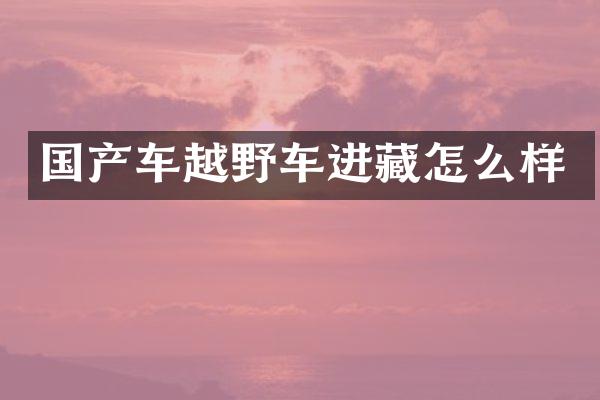 国产车越野车进藏怎么样