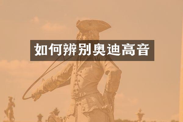 如何辨别奥迪高音