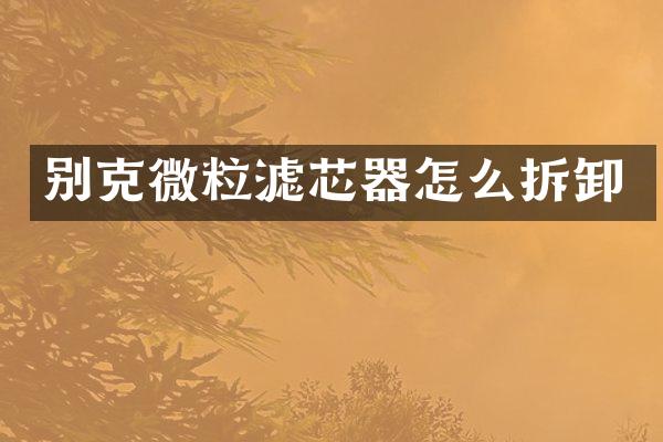 别克微粒滤芯器怎么拆卸