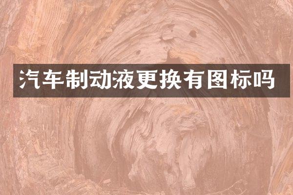 汽车制动液更换有图标吗