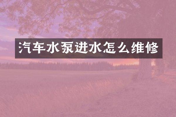 汽车水泵进水怎么维修