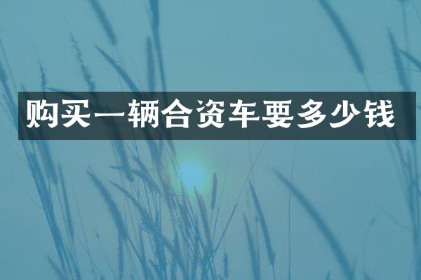 购买一辆合资车要多少钱