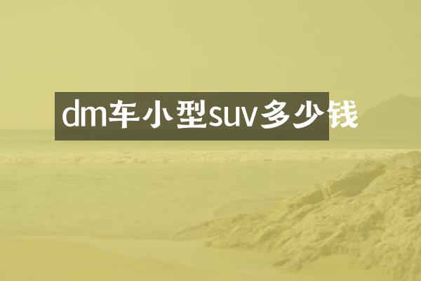 dm车小型suv多少钱
