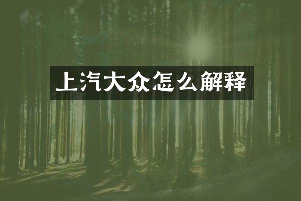 上汽大众怎么解释