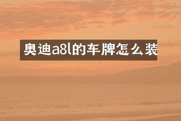 奥迪a8l的车牌怎么装