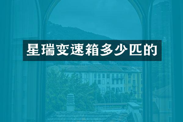 星瑞变速箱多少匹的