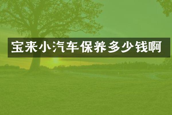 宝来小汽车保养多少钱啊