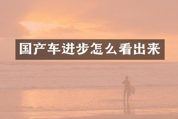 国产车进步怎么看出来