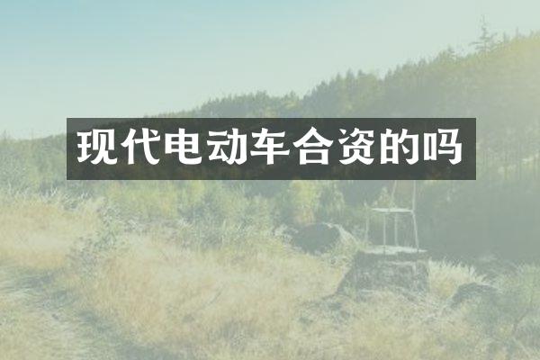 现代电动车合资的吗