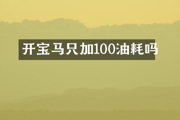 开宝马只加100油耗吗