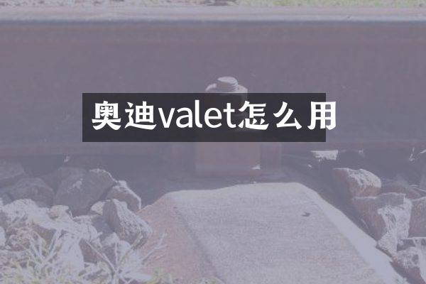 奥迪valet怎么用