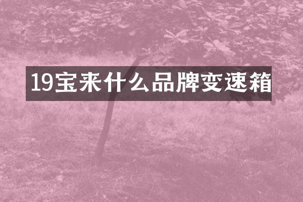 19宝来什么品牌变速箱