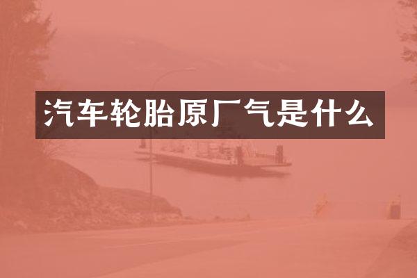 汽车轮胎原厂气是什么