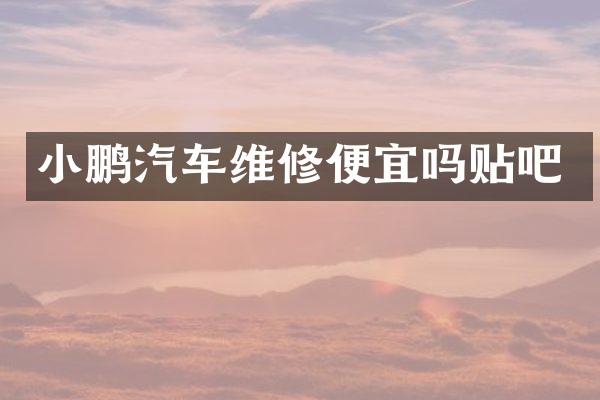 小鹏汽车维修便宜吗贴吧
