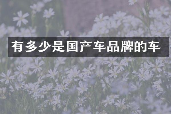 有多少是国产车品牌的车