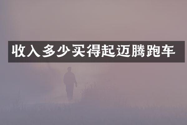 收入多少买得起迈腾跑车