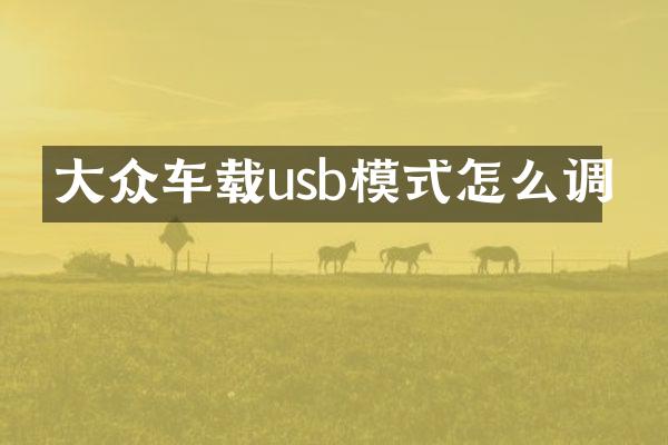 大众车载usb模式怎么调