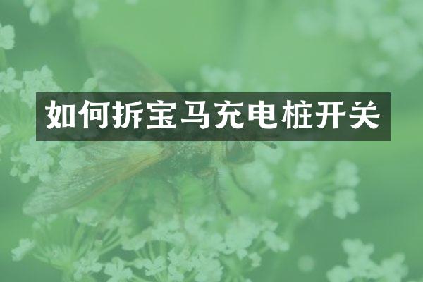 如何拆宝马充电桩开关