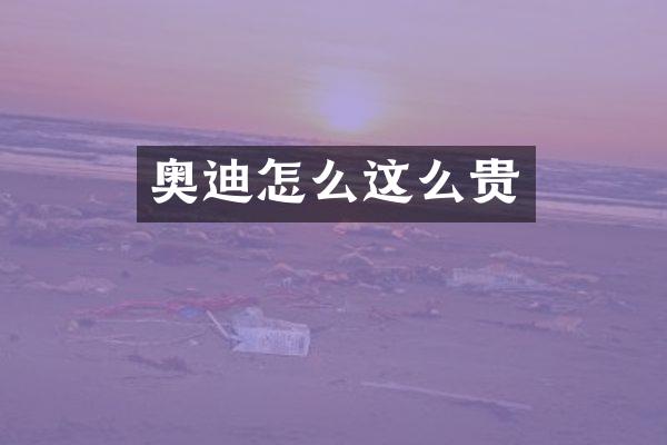 奥迪怎么这么贵