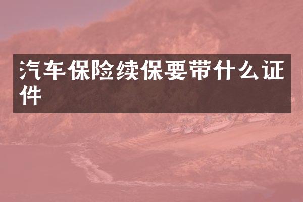 汽车保险续保要带什么证件