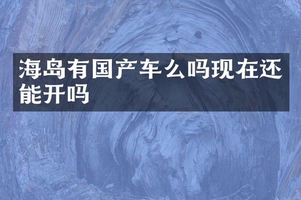 海岛有国产车么吗现在还能开吗
